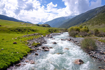 Mountain river flowing through a green valley between hills covered with forest against a cloudy sky.