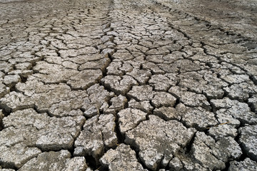 Dry lake bed with natural texture of cracked clay in perspective floor