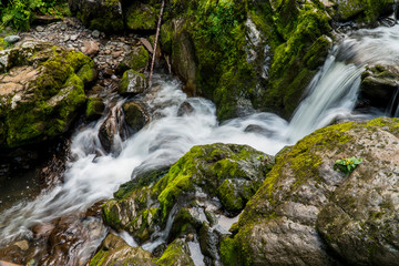 Landscape mountain river with waterfalls and rapids. Mountain Altai Siberia