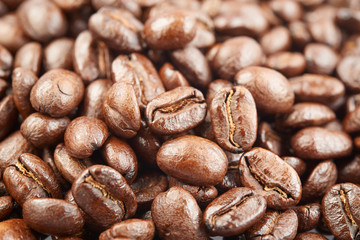 coffee beans on white background