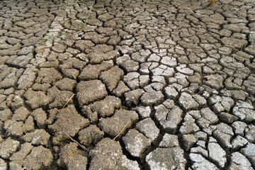 Dry lake bed with natural texture of cracked clay in perspective floor