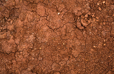 Texture of dried cracked clay. Macro background image of dried clay
