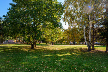 city autumn Park with trees and fallen leaves on the alleys and the ground