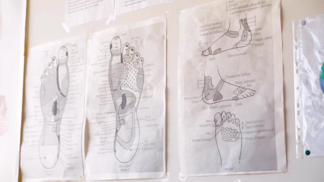 Anatomical Drawings On The Wall Of A Physician's Office. Alternative Therapy