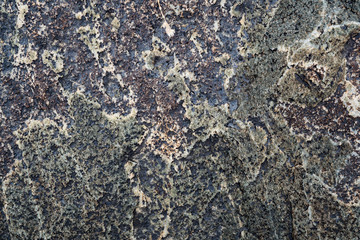 The texture of the stone overgrown with moss. Background image of a boulder