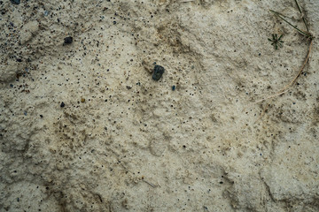 Texture of dried cracked clay. Macro background image of dried clay
