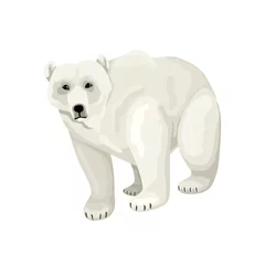 Foto op Canvas White polar bear. Vector isolated character on white background. © Veronika