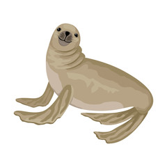 Fur seal is smiling. Vector isolated animal character.