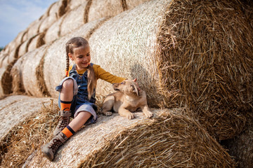 Cute girl playing with puppy on rolls of hay bales in field © Maria