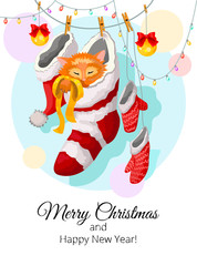 New Year card with a kitten in a Christmas sock, card congratulation merry Christmas