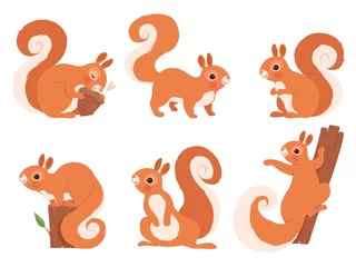 Fotobehang Leuke eekhoorn. Dierentuin kleine bosdieren in actie vormt wildlife eekhoorn vector stripfiguur. Grappige karaktereekhoorn in verschillende pose-illustraties © ONYXprj
