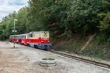 Fototapeta na wymiar Children’s Railway in Budapest