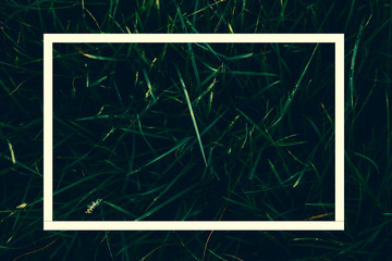 Grass on the field background and white frame.