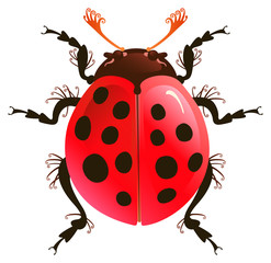 Ladybug. Decorative image. Vector graphics