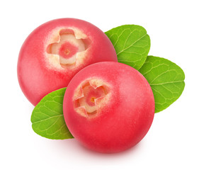 Freshly picked cowberries or blueberries with leaves isolated on white background. As design element.