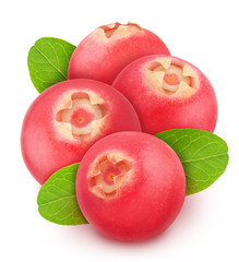 Heap of freshly picked cowberries with leaves isolated on white background. As design element.
