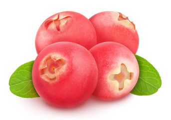 Heap of freshly picked cowberries with leaves isolated on white background. As design element.