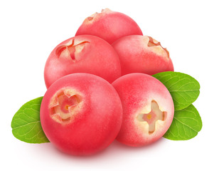 Heap of cowberries with leaves isolated on white background. As design element.