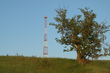 Communications tower at the blue sky background and green meadow