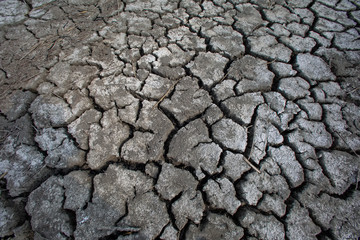 Dry lake bed with natural texture of cracked clay in perspective floor