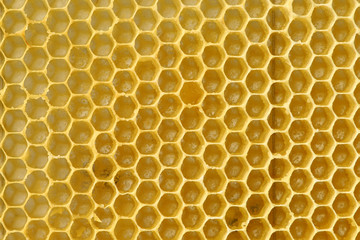 Background texture and pattern of a section of wax honeycomb