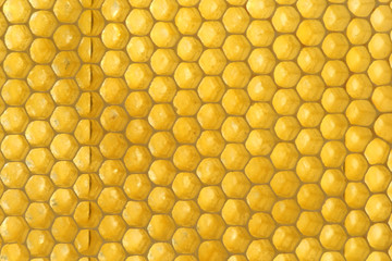 Background texture and pattern of a section of wax honeycomb
