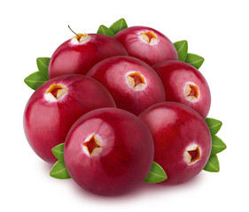 Heap of freshly picked cranberries with leaves isolated on white background. As design element.