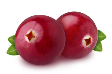 Freshly picked cranberries or blueberries with leaves isolated on white background. As design element.