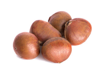 Fresh chestnuts an isolated on white background
