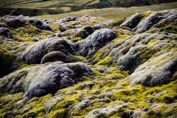 Moos Felsen Island Iceland Ursprung Elemente Flechten Pflanzen Kargheit menschenleer abgeschieden...