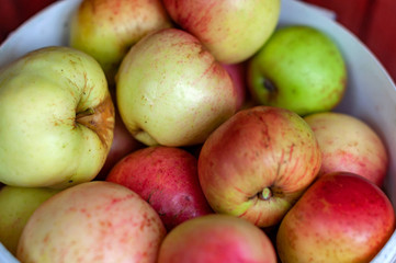 Ripe green and red apples photographed close-up