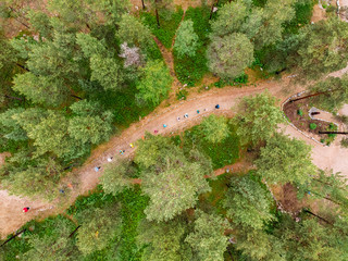 Nordic walking, senior active elderly people involved in sports go outdoor park. Aerial top view
