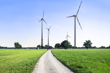 Wind Turbines on the Horizon and a Road in the Foreground