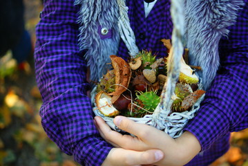  autumn harvest
