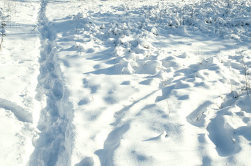 Obraz premium snow field