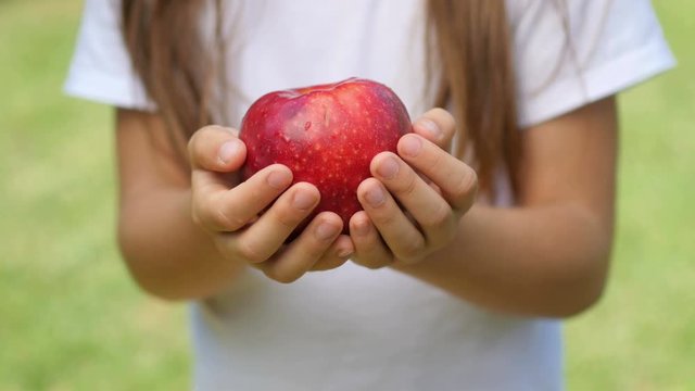 Hands of a young child hold a fresh juicy apple plucked in the garden. Healthy food concept