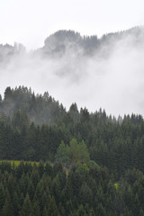 nebel im kleinwalsertal