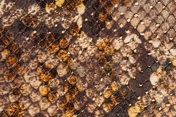 Texture of genuine matte rough leather close-up, imitation of the skin of scaly exotic reptile