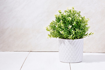 Artificial, decorative green plant, inside white vase, against white wooden background.