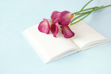 本とカラーの花束