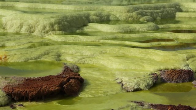 Dallol Sulphur springs and pools Danakil Depression Ethiopia.   The Sulphur springs create the unearthly colourful and beautiful landscape