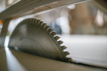 Circular saw for woodworking close-up