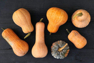 Butternut and moschata squashes varieties on black
