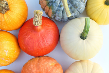 Colorful autumn pumpkins.