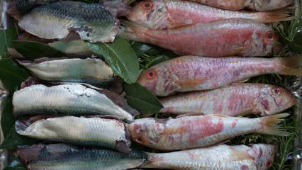 fresh fish 2 