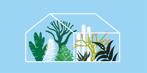 Greenhouse with cacti, succulents and palm trees. Tropical house for plants. Vector illustration.