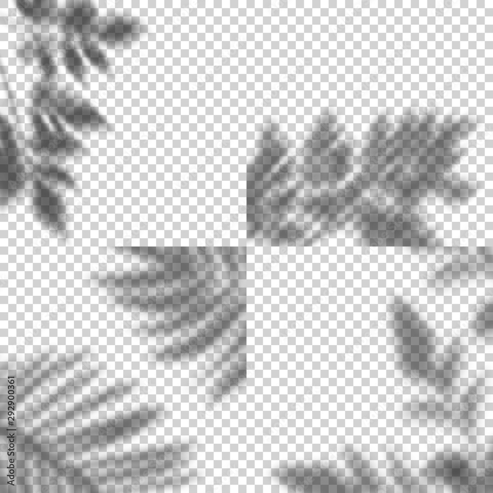 Fototapete vector set of transparent shadows of leaves. decorative design elements for collage and mock up. cre