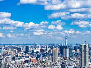 Fototapeta premium 東京都市風景