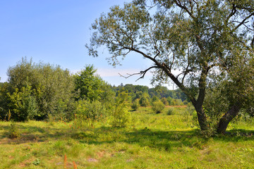 Rural landscape in Belarusian Polesie.