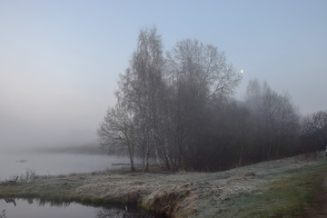 mist picture with tree silhouettes in the morning, beautiful mist on the lake, frost on the ground